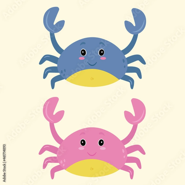 Fototapeta Vector hand drawn cartoon illustration of a two cute smiling happy crabs, lifting up claws, isolated on white background