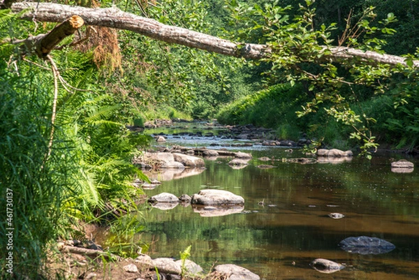 Obraz waterfall in the park