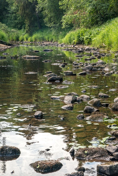 Obraz river in the forest