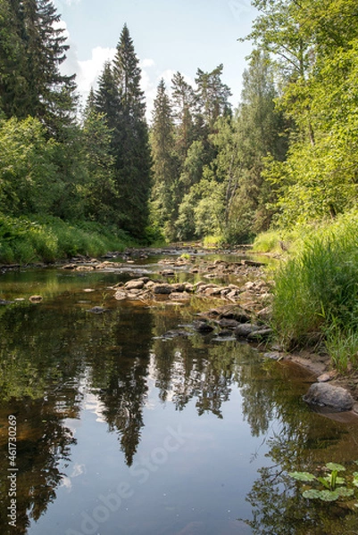 Obraz mountain river in the forest