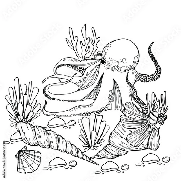 Fototapeta Octopus print, seashells, rapana, water world, wildlife. Background for children and adults. For painting, textiles, design, coloring, print. Stock illustration. Isolate on white. 