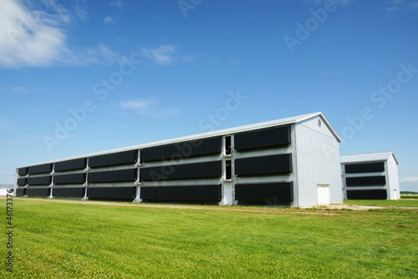 Obraz Modern chicken coop