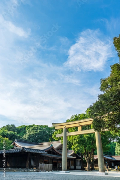 Obraz 東京　明治神宮　客殿前の鳥居