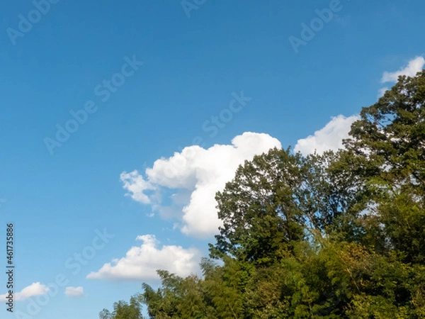 Fototapeta 秋の空