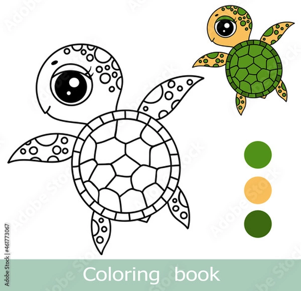 Obraz Cartoon turtle coloring book page with colorful template. Cute  turtle coloring book. Underwater ocean life, marine animal. Funny turtle isolated contour. Kids animals coloring book page. Worksheet.
