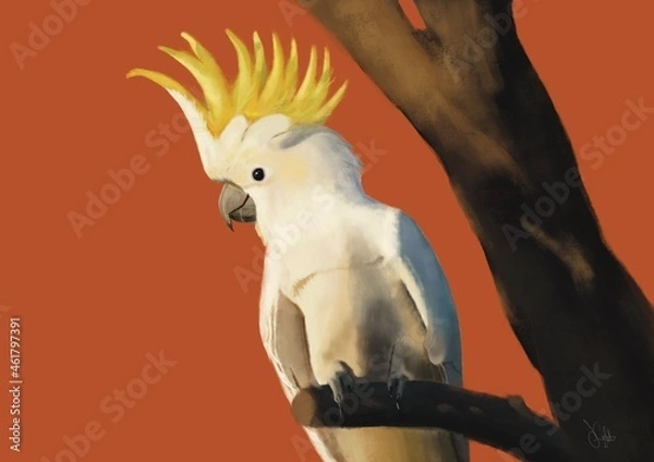 Fototapeta Cockatoo in a tree