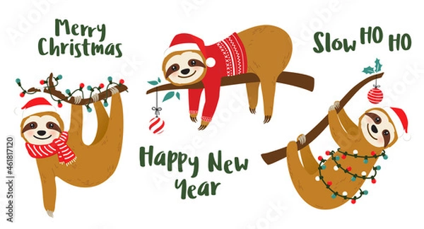 Fototapeta Cute sloth vector graphic design set for Christmas holiday. Merry Christmas prints. Adorable hand drawn sloth characters on tree branches wearing Santa Claus hats or wrapped in Christmas lights