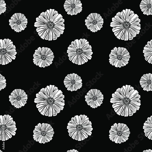 Fototapeta White daisies on a black background. Vector seamless pattern