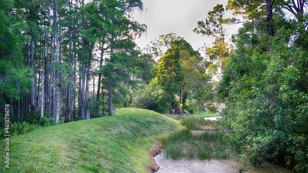 Obraz quiet swamp landscape on a golf course