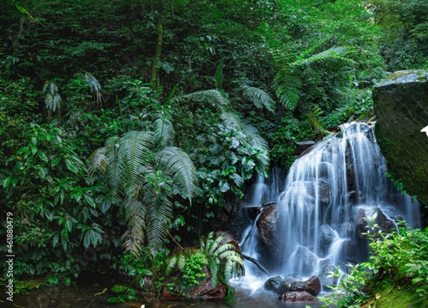 Obraz waterfall in the jungle