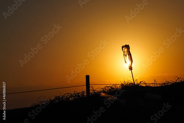 Obraz 夕景に映えるペットボトル