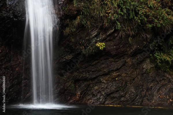 Fototapeta 秩父華厳の滝
