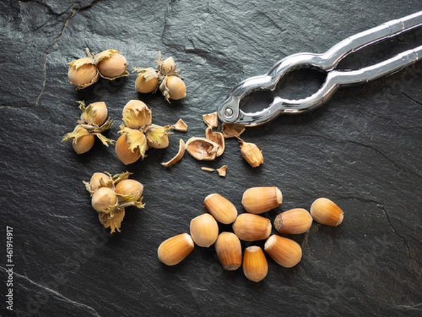 Obraz Hazelnuts with nutcracker on slate worktop, background. Flat lay, top view.