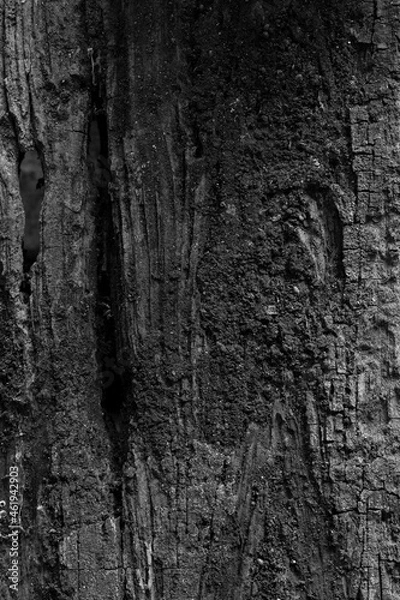 Fototapeta old wood background.