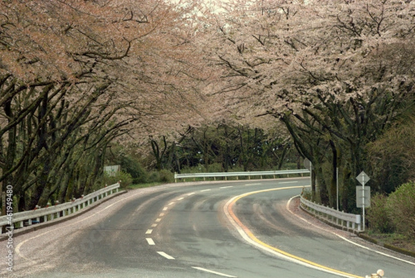 Obraz 箱根ターンパイクの風景