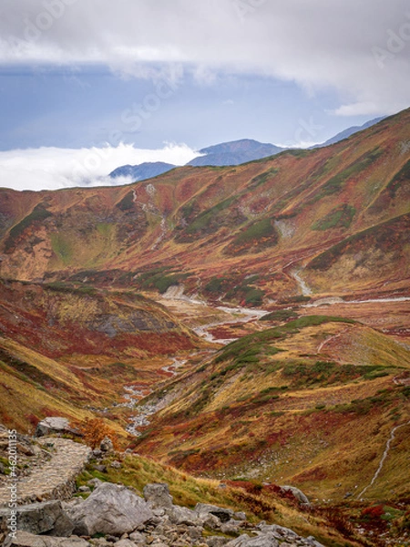 Obraz 立山連峰から見下ろす雷鳥沢の風景