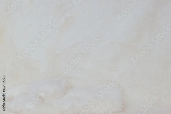 Fototapeta Abstract white fur background stage close-up