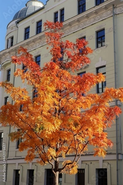 Fototapeta Lonely center