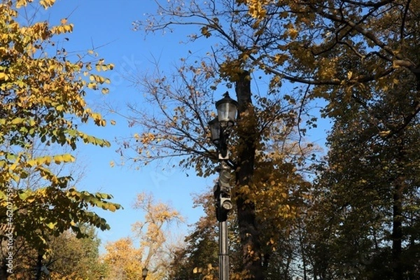 Fototapeta Autumn light