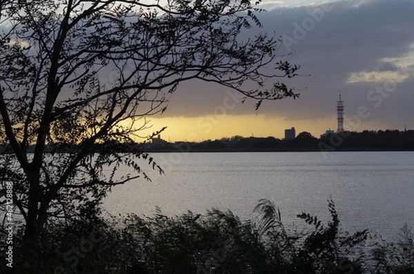 Obraz 鳥屋野潟と夕日