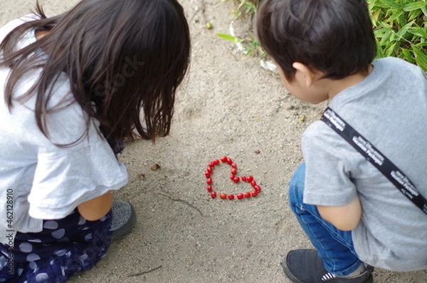 Obraz ハート型の木の実