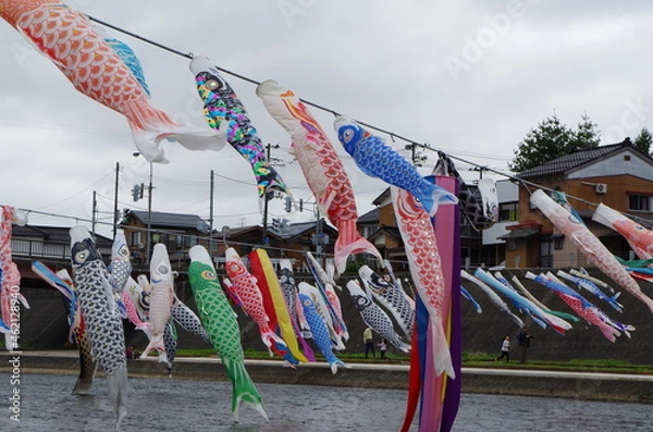 Obraz 風にまう鯉のぼり