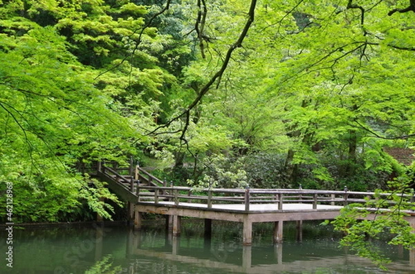 Obraz 池の上の橋