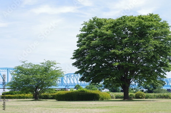 Obraz 大きな木と橋