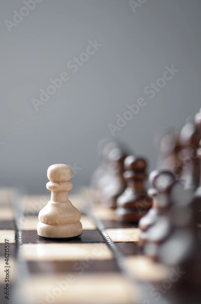 Obraz chess studio shot