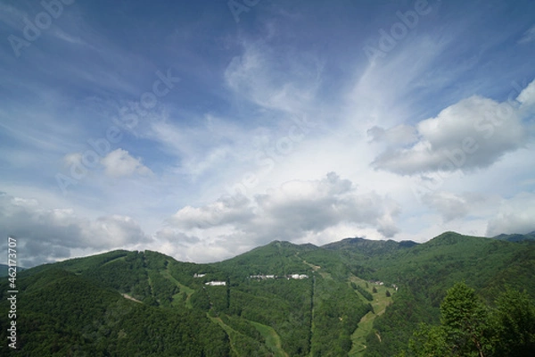 Fototapeta 夏の志賀高原スキー場