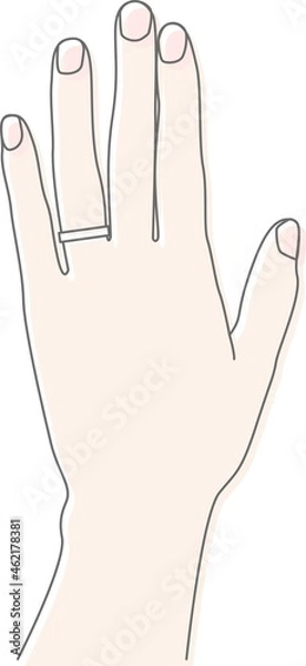 Fototapeta 薬指に指輪をはめた女性の手