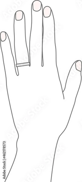 Fototapeta 薬指に指輪をはめた女性の手