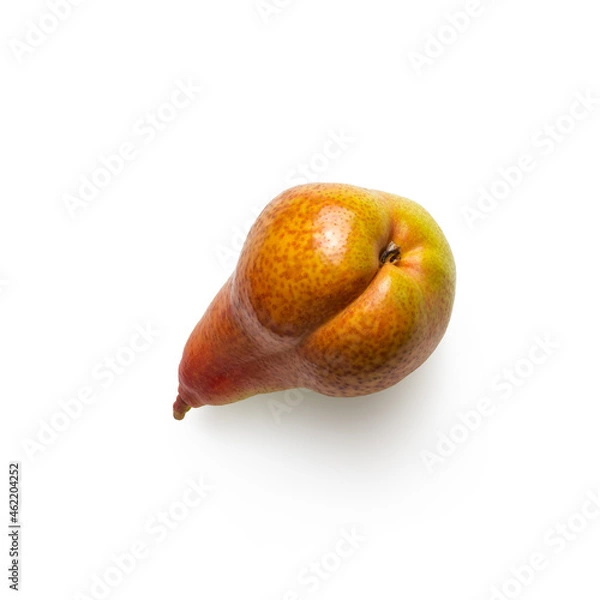 Obraz Isolated pear on white background