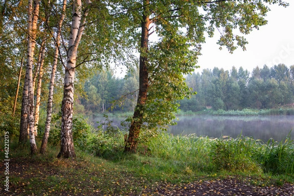 Obraz Morning on the river