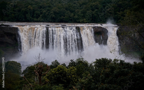 Fototapeta waterfall in the forest