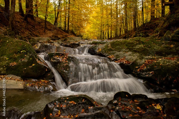Obraz Bieszczady jesień potok Hylaty
