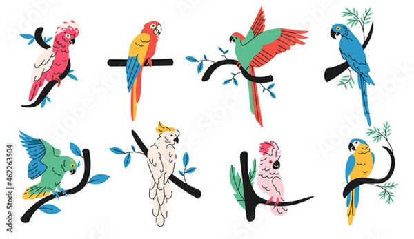 Fototapeta Tropical parrots simple elements collection. Exotic birds flat isolated set. Jungle fauna in trendy flat design.