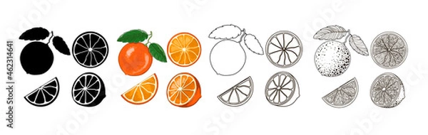 Obraz Four sets of oranges - black silhouette, cartoon, doodle and outline style. One orange on a branch with two leaves, half and two slices isolated on a white background. Vector