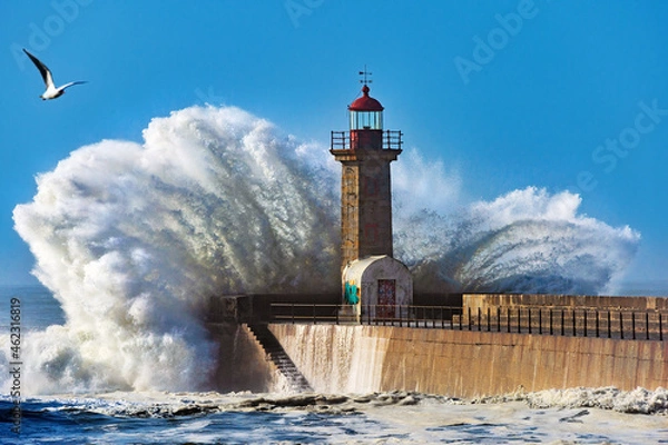 Fototapeta Foz Lighthouse