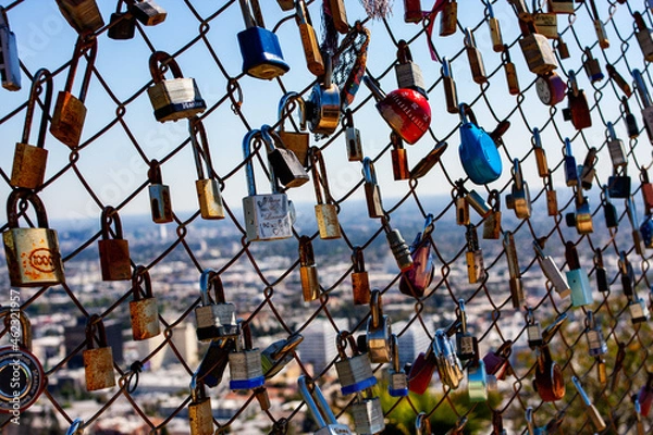 Obraz Padlocks on a Chain Link Fence in LA