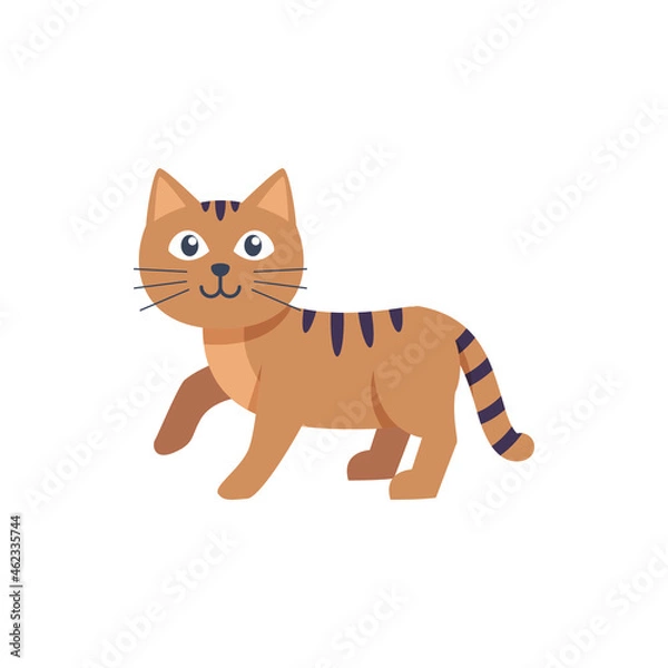 Fototapeta freindly cat vector illustration design on white backgound