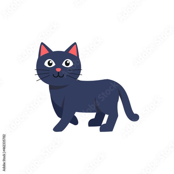 Obraz kitten cat vector illustration design on white backgound