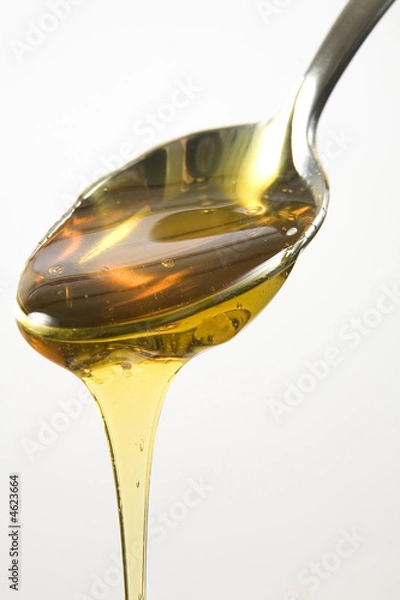 Obraz honey on spoon