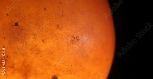 Obraz sun on the black background