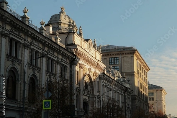 Fototapeta Dark Academia