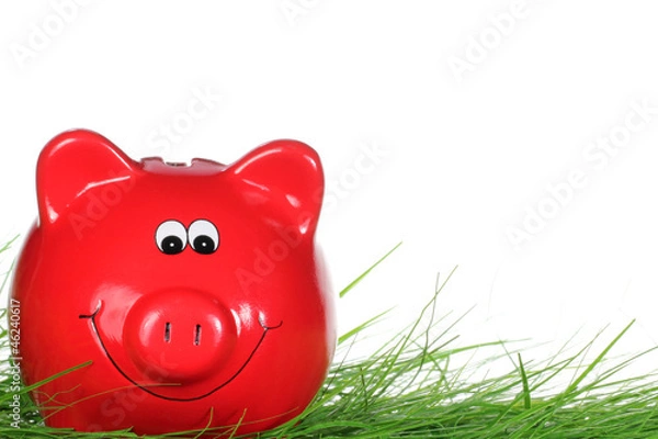 Obraz Sparschwein auf Rasen