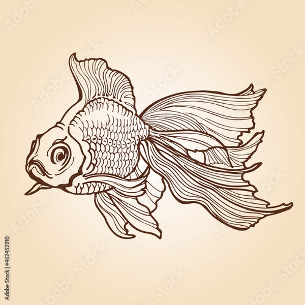 Obraz goldfish outline outline drawing. vector