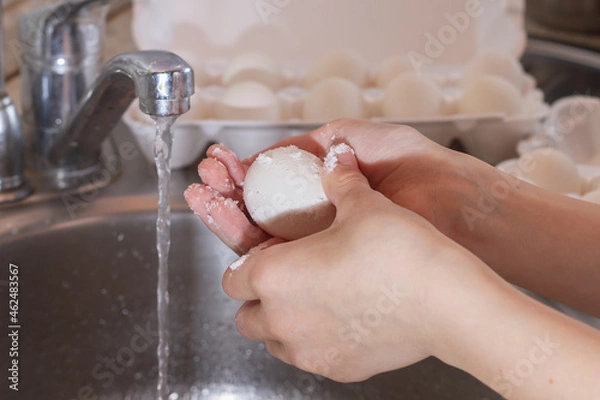 Fototapeta Wash chicken eggs in the kitchen sink with water and soda with your hands to disinfect eggs, kill bacteria and salmonella