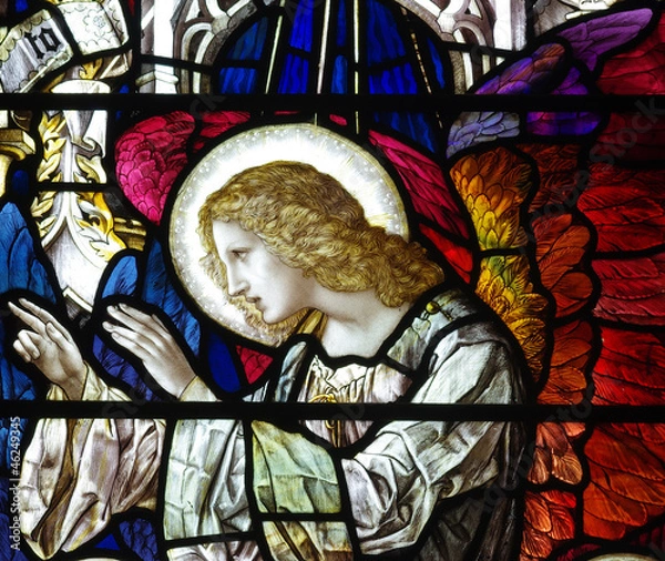 Obraz Angel with red wings