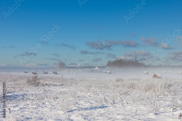Obraz snowy hay bales in fog